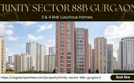 Trinity Sector 88B Gurgaon | Best 3 & 4 BHK Residences