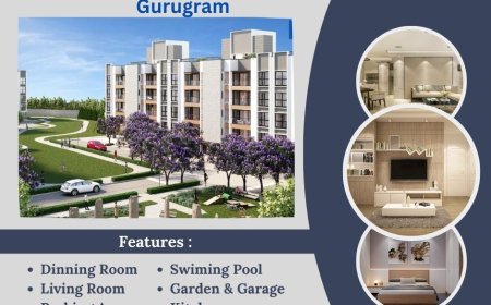 M2K Olive Green Floors in Sector 104 - Spaces Inspiring Life