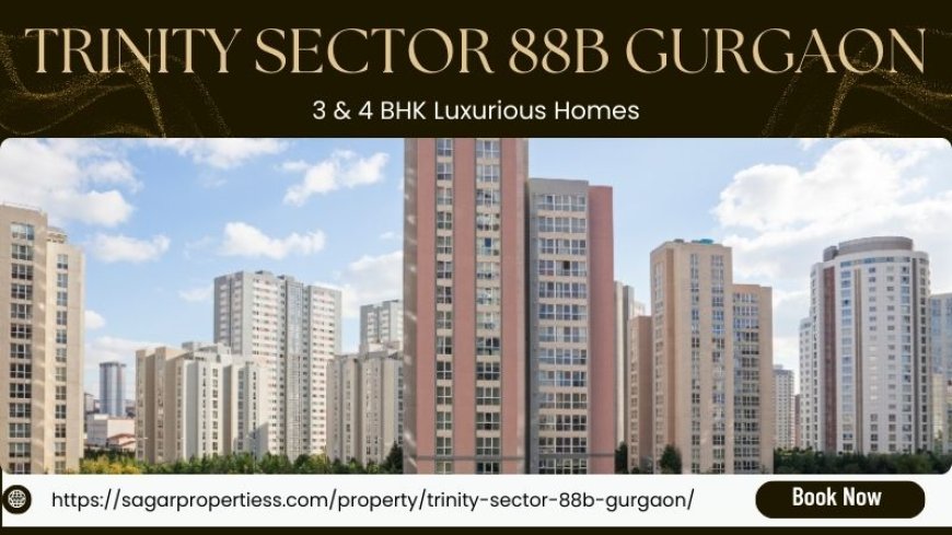 Trinity Sector 88B Gurgaon | Best 3 & 4 BHK Residences