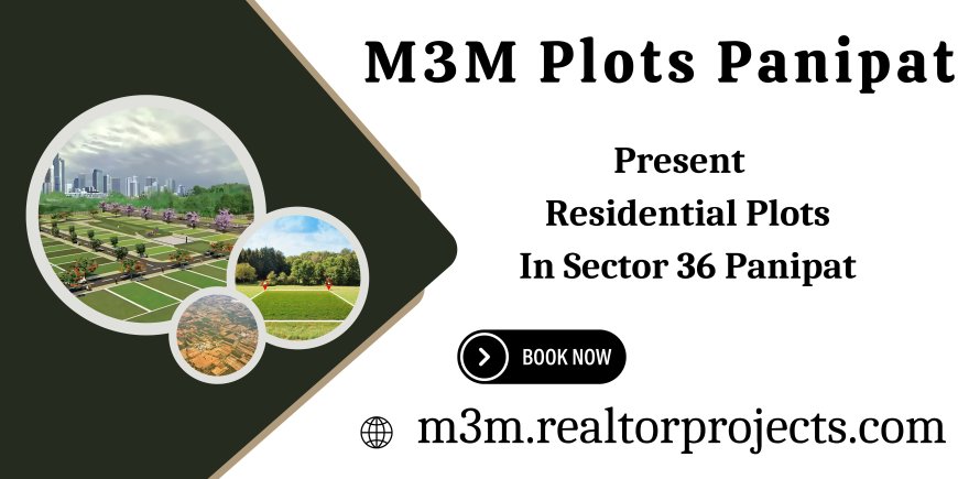 M3M Sector 36 Panipat - Where Vision Meets Land