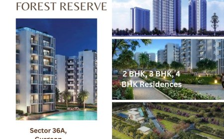 Krisumi Waterside Residences The Forest Reserve Sector 36A Gurugram
