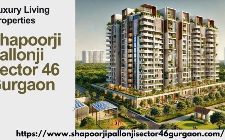Shapoorji Pallonji Sector 46 Gurgaon : Best Living Spaces For You