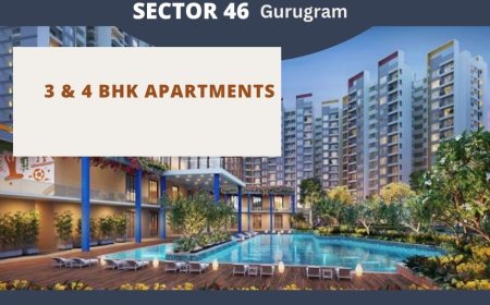 Shapoorji The Dualis Sector 46 Gurugram - Elevate Your Lifestyle