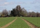 Prestige Gardenia Estates Plots - Pricing & Location