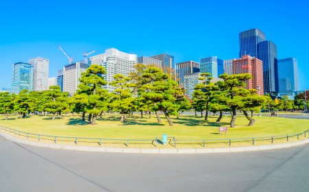 Suyug Utpala: Luxury 3 & 3.5 BHK Homes on Sarjapur Road