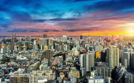 Best Plots in Bangalore for Investment & Living