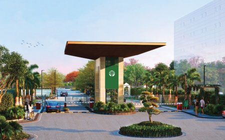 M2K Olive Green Floors Sector 104 Gurgaon: Your Gateway to Luxurious Living