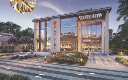 How Do ACE AcreVille Plots Compare to Other Properties?