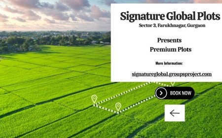 Signature Global Plots Sector 3 Gurgaon - A Place to Truly Belong