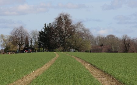 Prestige Gardenia Estates Plots - Pricing & Location