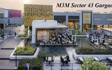 M3M Sector 43 Gurgaon: A Perfect Commercial Investment
