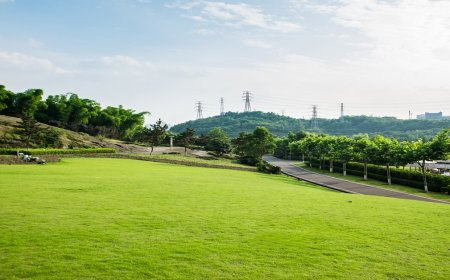 Invest in Ace Acreville Sector 22A, Greater Noida