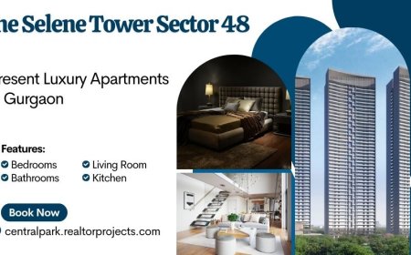 Central Park The Selene Tower Sector 48 - Elevate Your Everyday