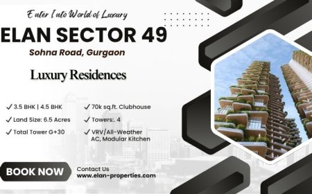 Elan Sector 49 Gurgaon | The Pinnacle Of Perfection