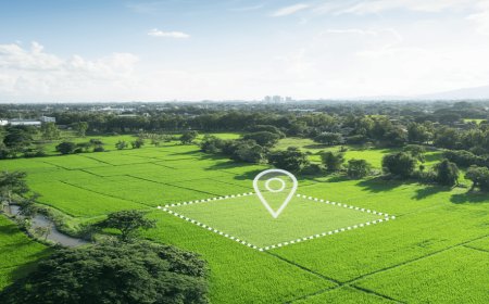 Neoliv Plots Sonipat | Peaceful Life Starts Here