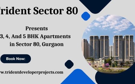 Trident Sector 80 In Gurugram - Your Ideal Apartment Awaits