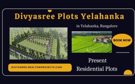 Divyasree Plots In Yelahanka Bengaluru - Claim Your Corner of the World