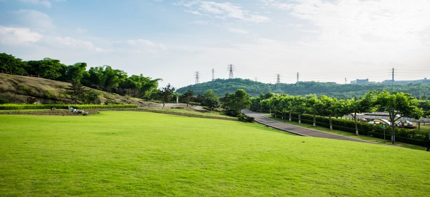Invest in Ace Acreville Sector 22A, Greater Noida