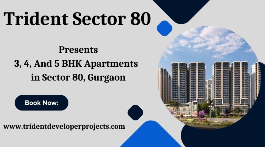 Trident Sector 80 In Gurugram - Your Ideal Apartment Awaits