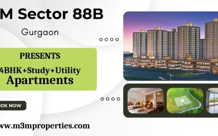 M3M Sector 88B | Exclusivity, Richness & Originality | Luxury Apartments in Gurgaon