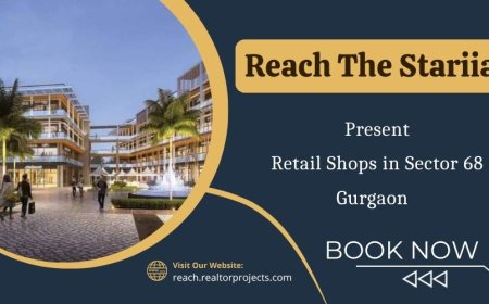 Reach The Stariia - From Window Shopping to Wow