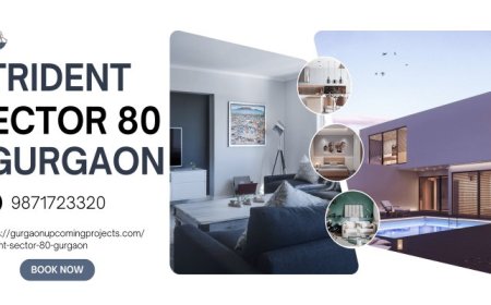 Trident Sector 80 Gurgaon: The Epitome of Elegant Living