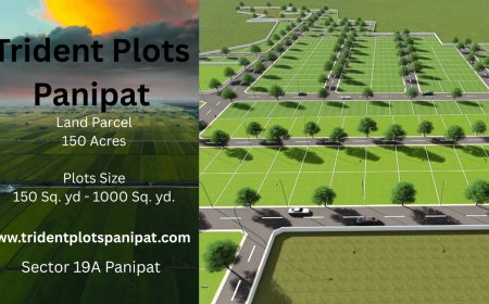Trident Plots Panipat – Build Your Home in a Gated Community with Top Amenities