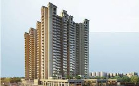 Discover SG Vista: Where Style Meets Serenity