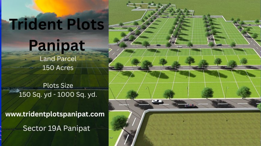 Trident Plots Panipat – Build Your Home in a Gated Community with Top Amenities