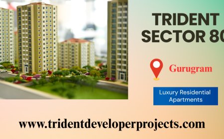 Trident Sector 80 Gurgaon – A Premier Address in New Gurugram