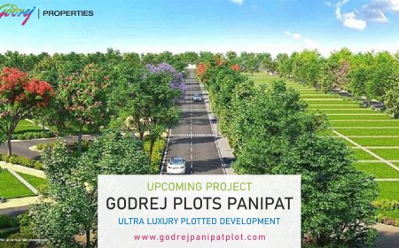 Godrej Plots Panipat – Invest in Land, Invest in Legacy