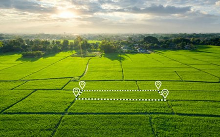 Godrej Sector 40 Panipat plots redefine real estate