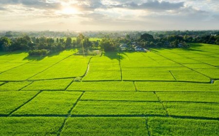 Invest Smart in SJR Vivo City, Nelamangala