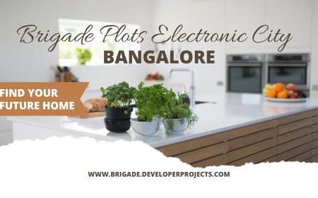 Buy Brigade Approved Plots in Electronic City Bangalore Today