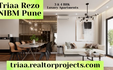 Triaa Rezo NIBM - Making Moves, Finding Homes