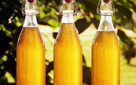 Alcoholic Beverages Market Size, Share & Competitive Analysis Report 2025–2033