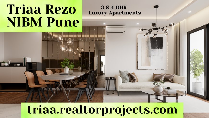 Triaa Rezo NIBM - Making Moves, Finding Homes