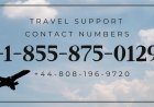 Complete List of Official PRICELINE CONTACT NUMBER  in the USA – Full Detailed Guide