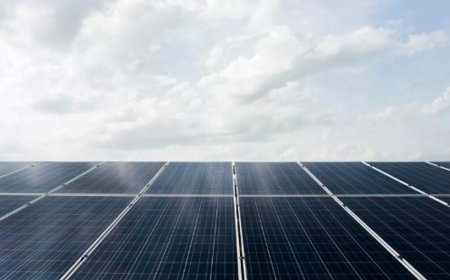 SAEL Industries Launches 50 MW Solar Power Plant in Maharashtra to Boost Green Energy Goals