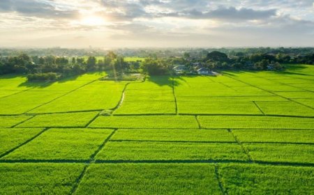 Godrej Plots Doddaballapur – Why Wait to Own Your Plot?