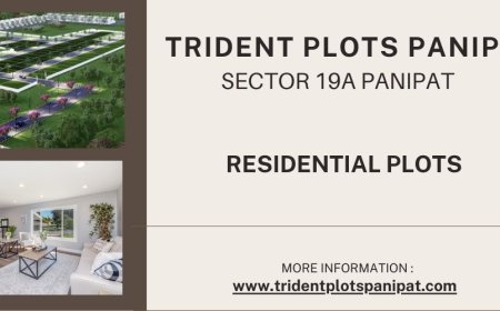 Trident Plots Panipat | Luxury Residential