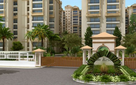 Palm Resort – Experience Comfort and Elegance