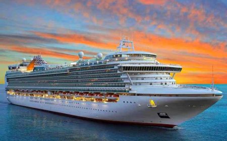 **21*Complete List of Official Carnival Cruise Contact Numbers in the USA – Full Detailed Guide