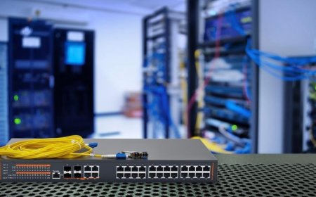 Networking Switches: The Backbone of Modern IT Hardware