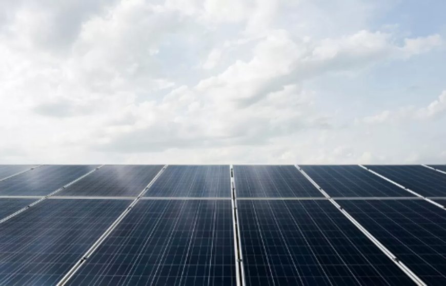 SAEL Industries Launches 50 MW Solar Power Plant in Maharashtra to Boost Green Energy Goals