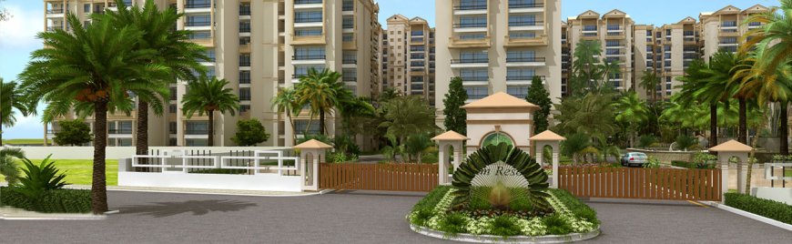 Palm Resort – Experience Comfort and Elegance