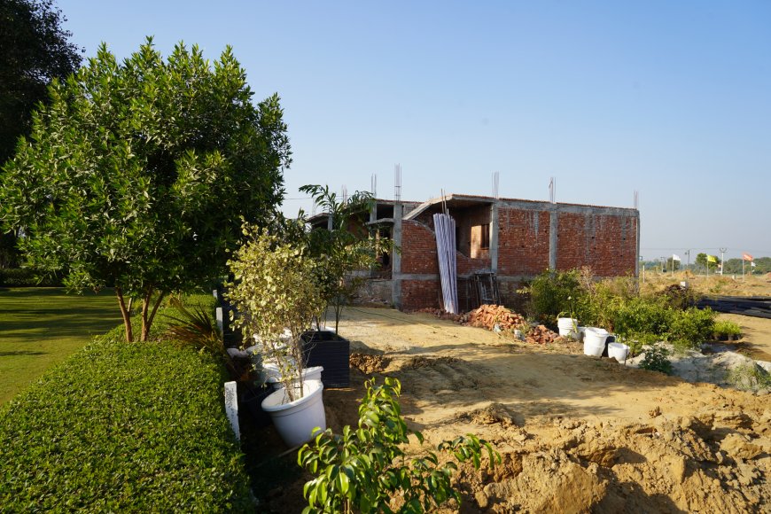 Where to Find the Best Residential Plots Near Jewar Airport?