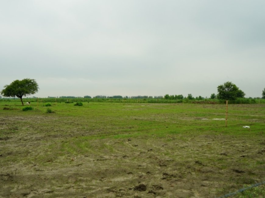 Residential Plots in Jewar: 2025 Investment Guide for High Returns Near Noida Airport