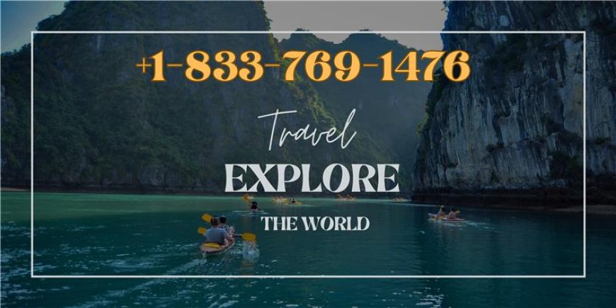 List of Official Air Europa Representative® phone Numbers in the USA: A Complete Guide