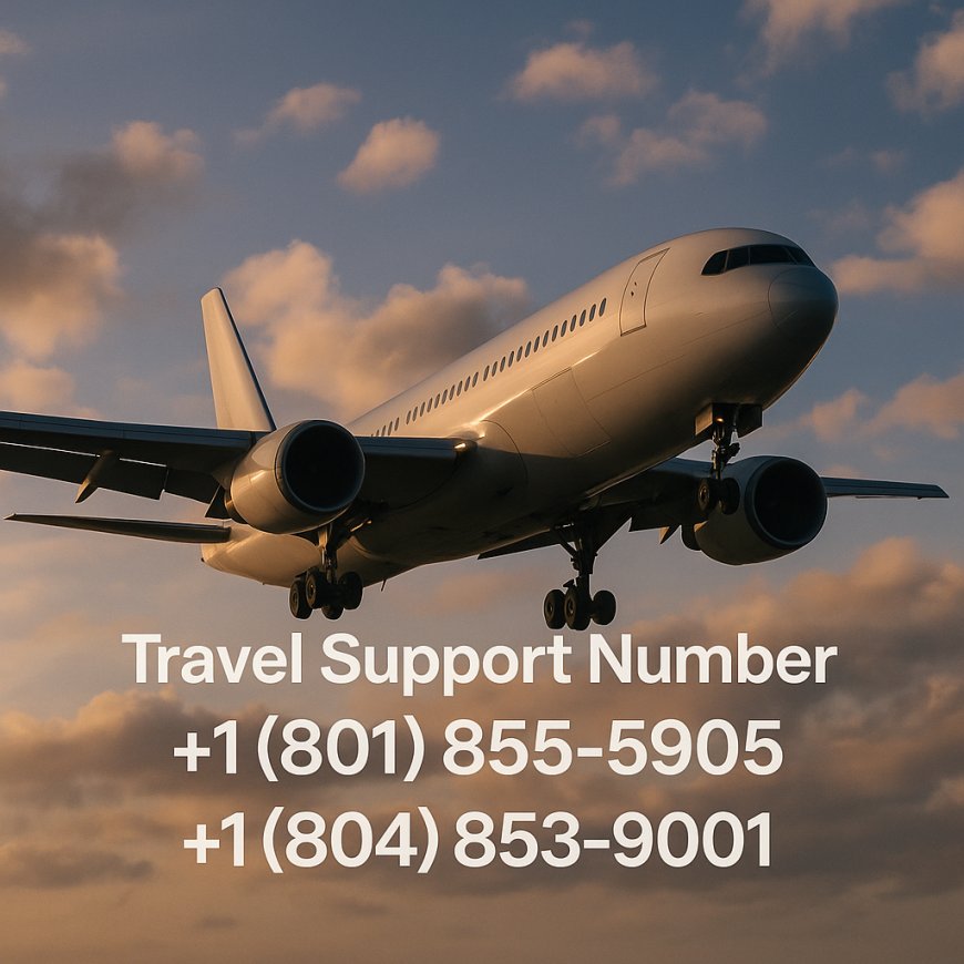 Complete List of™Qatar Airways®️ Support™️ Contact Numbers in the USA®®️ – The Ultimate Official Guide